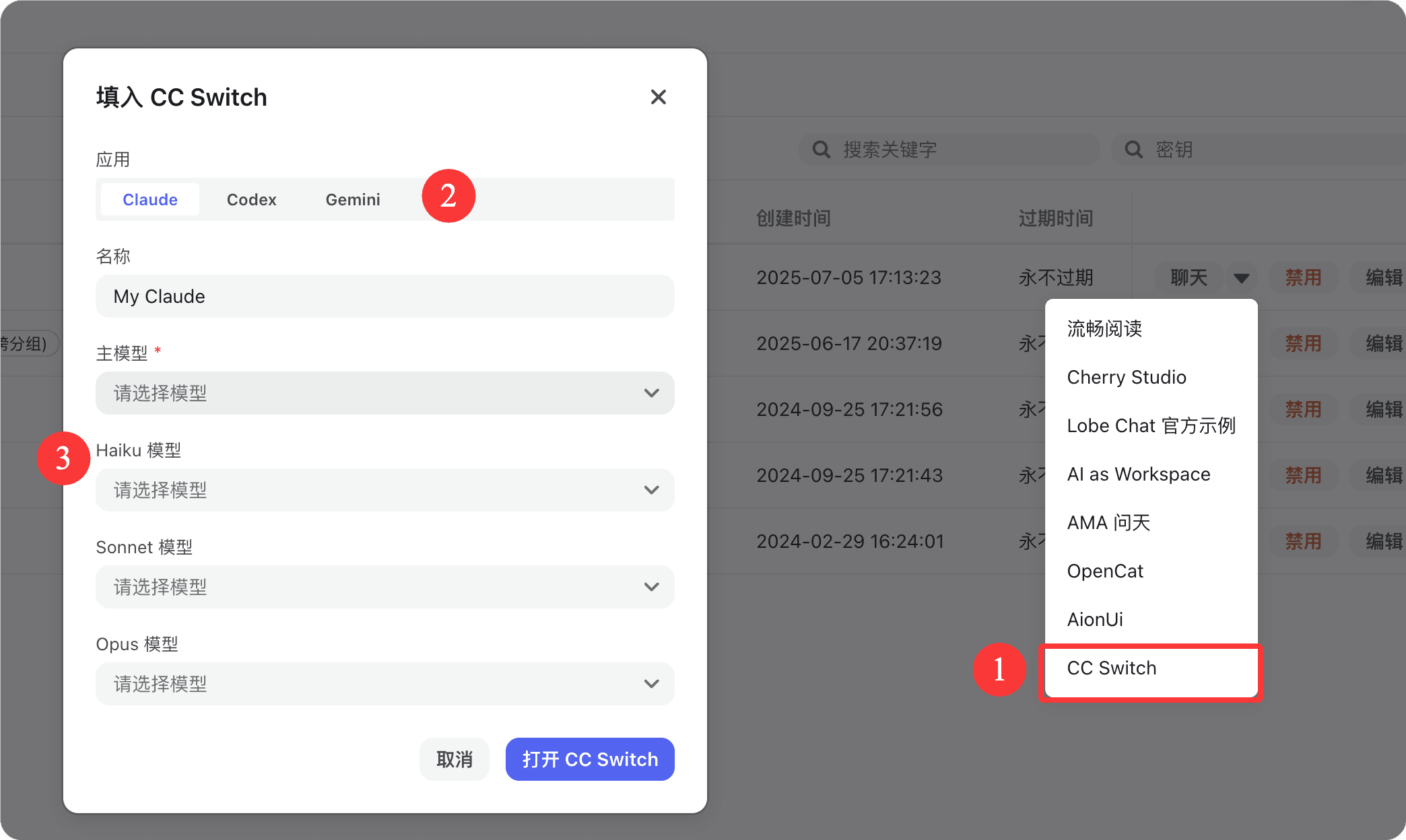 Заполнение окна CC Switch